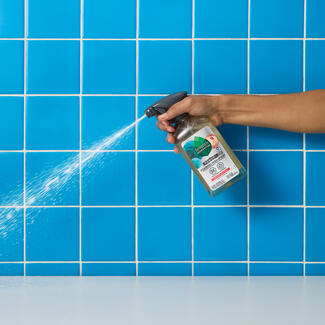 Dish Spray Banner