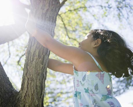 Girl Climbing Tree