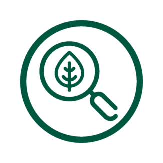 Icon of magnifying glass highlighting a leaf