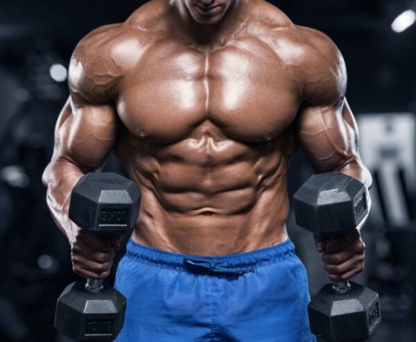 Advanced Steroid Cycles II A Supreme Bulking
