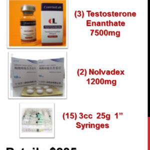 Beginner's Steroid Cycle