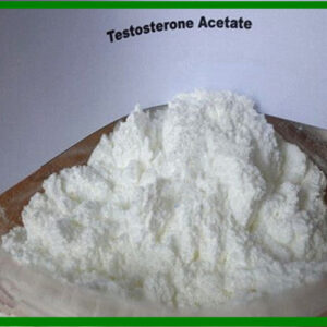 Purchase Testosterone acetate Powder
