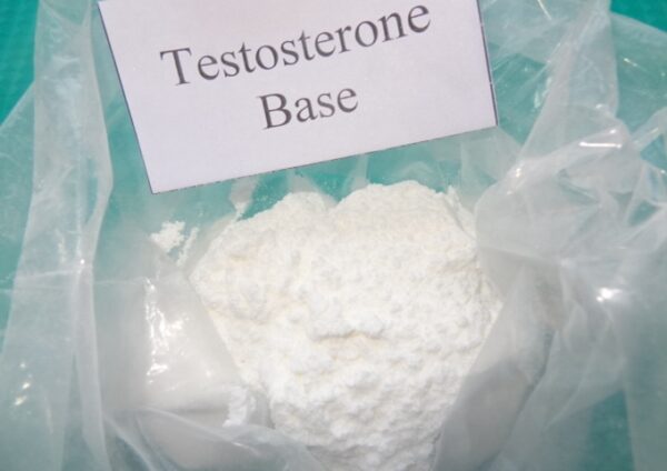 Buy Testosterone Base Powder Online